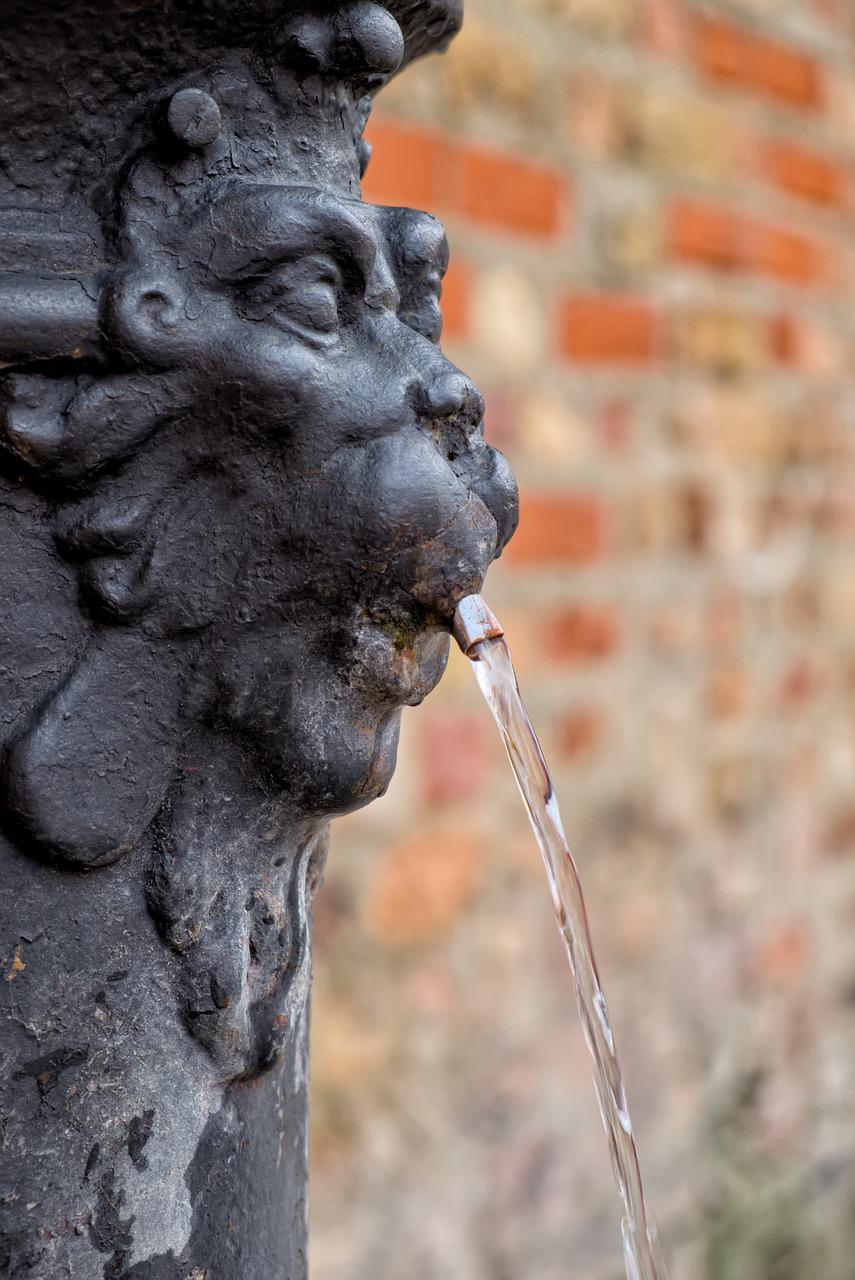 tap water from fountains of venice (https://pixabay.com/it/photos/fontana-venezia-acqua-leone-3559608/)