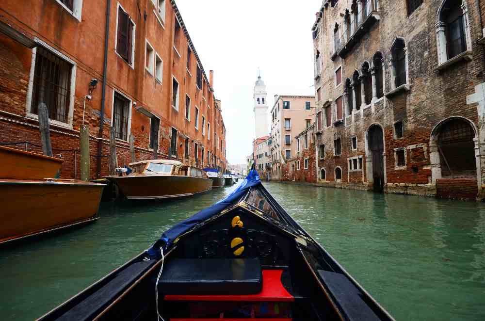 gondola regattas ( Haneen Krimly on Unsplash)
