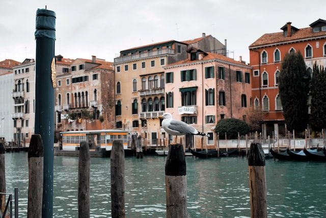 what to visit near rialto bridge in venice (Romain Chollet on Unsplash)