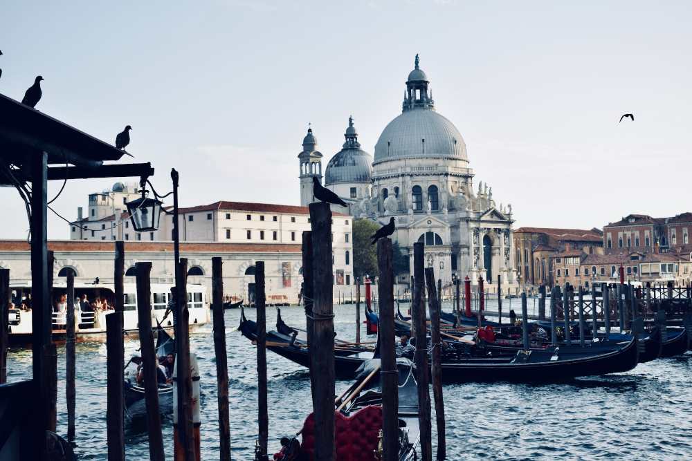 santa maria della salute basilica venice (Mateus Campos Felipe on Unsplash)