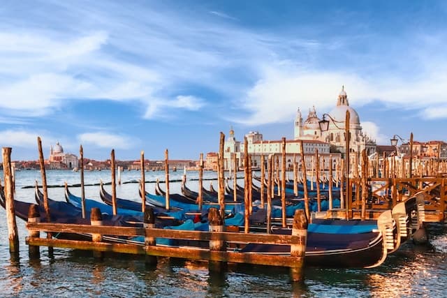 visiting venice with your dog https://unsplash.com/it/foto/K8kiYqIcCNo