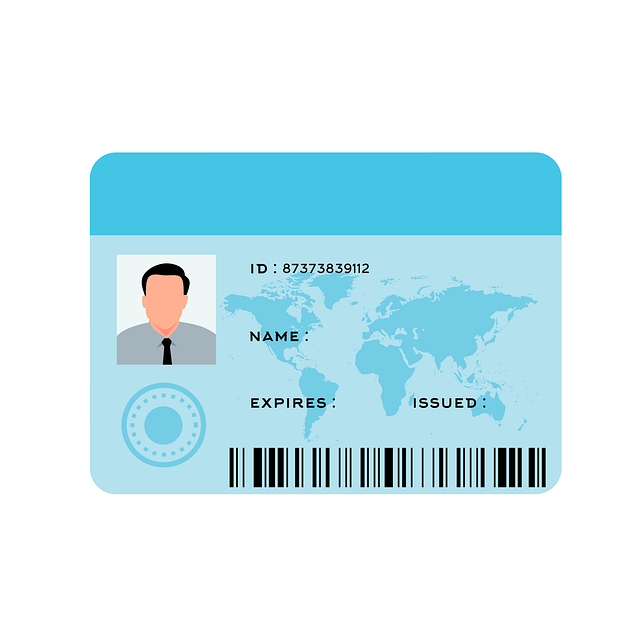 Electronic Identity Card in Venice