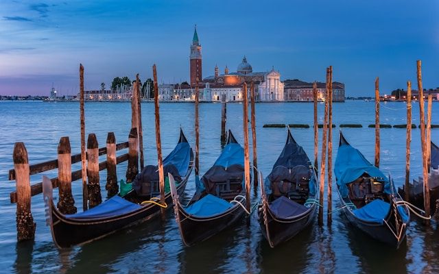 Vacations in Venice with pets