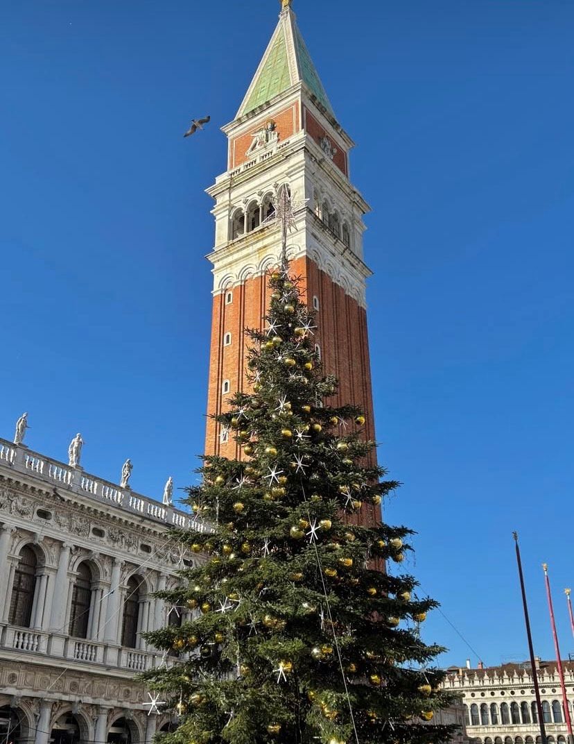 Venice Christmas lights 2025