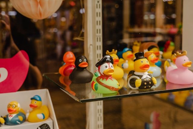 Venice Duck Store