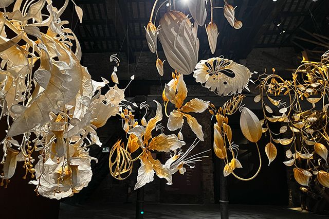 India Pavilion, Venice Biennale 2026