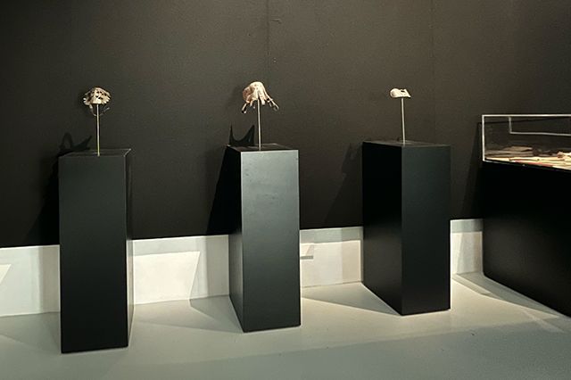 French Pavilion Venice Biennale 2026