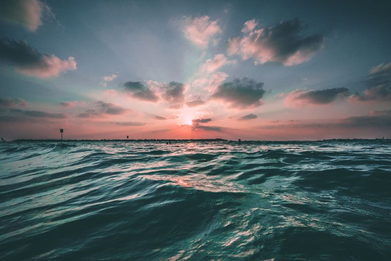 Blue Friday Venice: An initiative to safeguard the Ocean