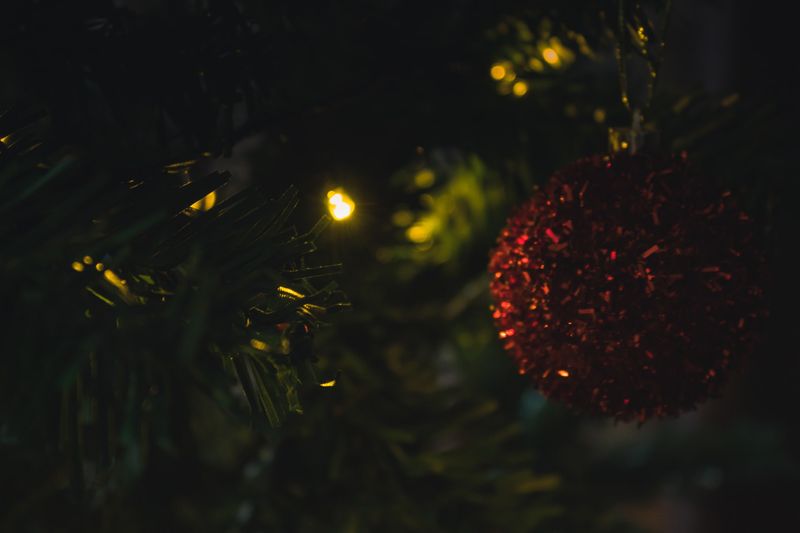 What to see in Venice at Christmas? Here are 7 ideas and tips among lights and traditions