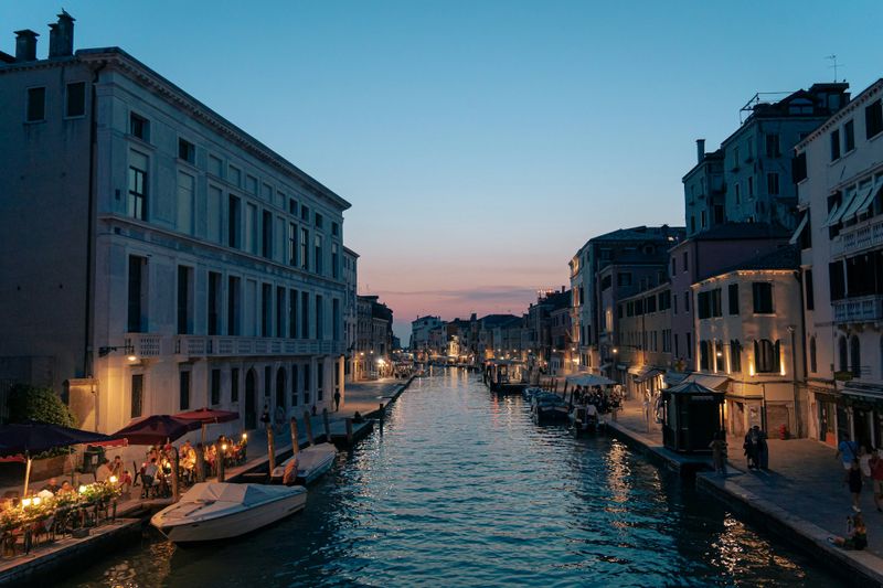 Vacations in Venice with pets: complete guide