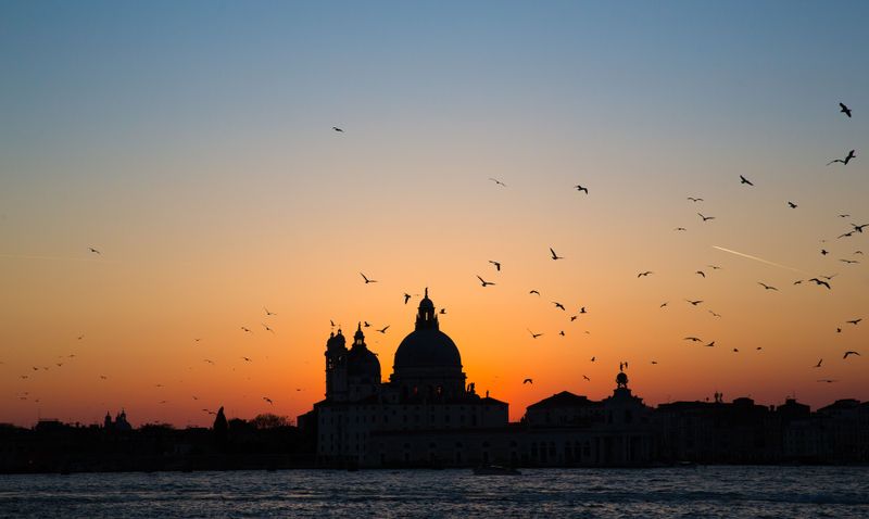 Venice library network july 2024: A summer of culture and fun