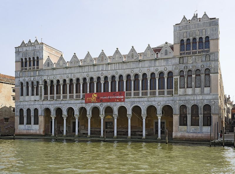 Natural History Museum Venice